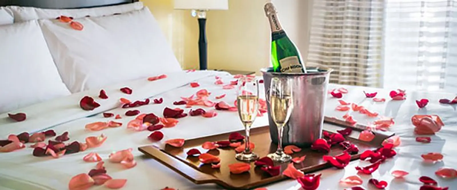 5 of the most romantic homes for sale on MyHome.ie this St Valentine's Day