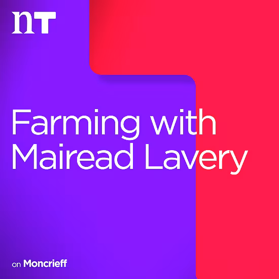 Farming with Mairead Lavery
