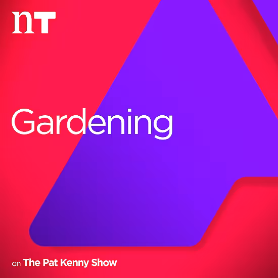 Gardening on Pat Kenny