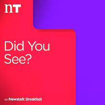Did You See?
