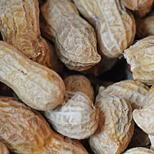 Do we need an allergy rating s...