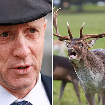 Healy-Rae demands 'more e...