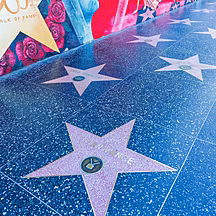 Why do we engage in celebrity...