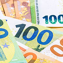A call for a basic income for...