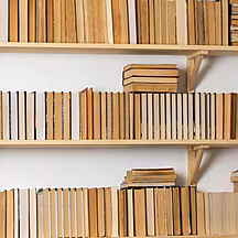 The Bookshelf with Lindsey Fit...