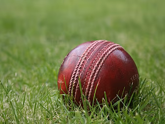 Ireland's cricketers suffe...