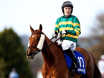 AP McCoy and Jezki partnership...