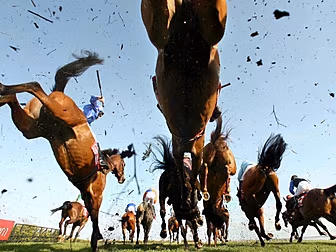 Need betting tips for the big...