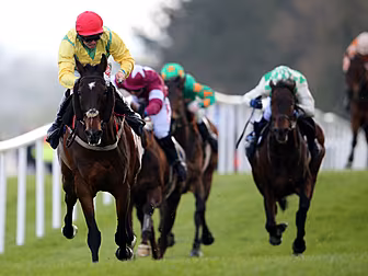 Day 2 racing tips for the Punc...