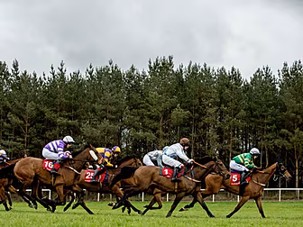 Donn's tips for Punchestow...