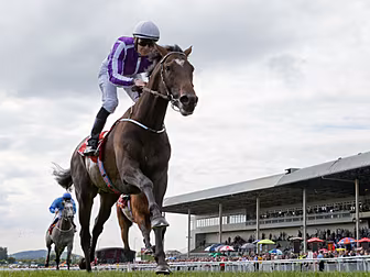 Donn's tips for Newbury an...