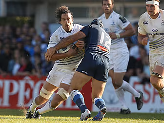 'Leinster ran at the trunk...