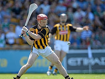 Kilkenny's Tommy Walsh cal...