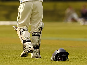 Your essential cricket bandwag...