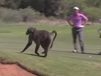 VIDEO: We doubt Luke Donald wa...