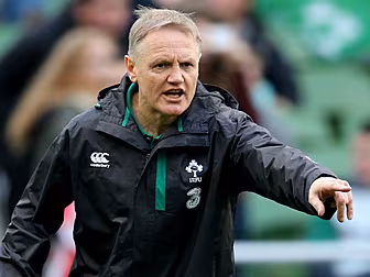 Schmidt safe from All Black po...