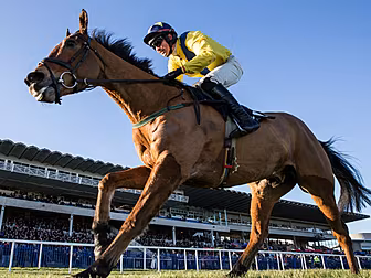 Foxrock can strike Gold for Co...