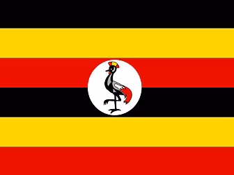 Ugandan rugby players who went...