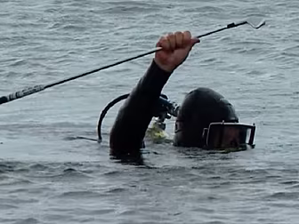 Watch: Scuba diver recovers Ro...
