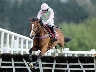 LISTEN: 'Faugheen and co c...