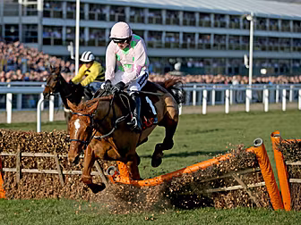 Dramatic fall for Annie Power...
