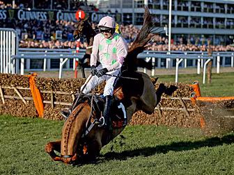 Festival's final furlong t...