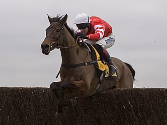 Coneygree comes good to defy I...