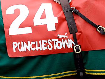 Three Grade One races on day o...