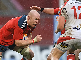 O'Connell returns for Ulst...