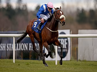 Zawraq pulled from Epsom Derby...