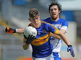 Steven O’Brien and Cian Lynch...