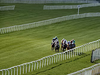 Jack Hobbs wins the Irish Derb...