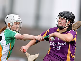 Camogie: Wins for Kilkenny, Ti...