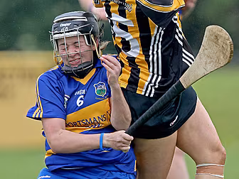 Galway and Kilkenny reach the...