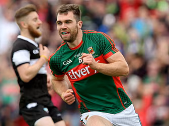 Mayo to wait on O’Shea