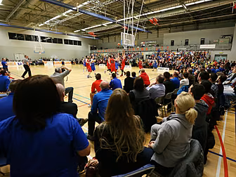 Irish basketball to be represe...
