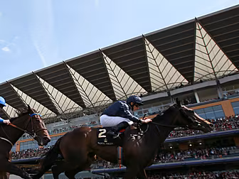 We've got some Ascot betti...