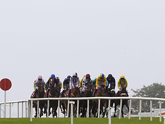 The Galway races get underway...