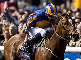Aidan O'Brien has "abs...