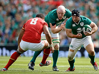 Ireland come up short against...