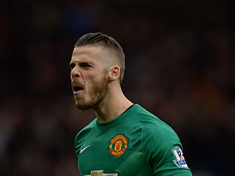 Schmeichel parallel could be r...