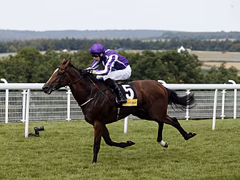 Highland Reel settles for thir...