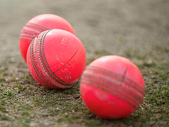 Ireland pick up eight-wicket v...