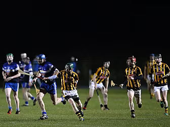 Hurling Round-up: Kilkenny los...
