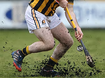 GALLERY: Offaly and Kilkenny b...