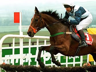 Legendary cross-country champi...
