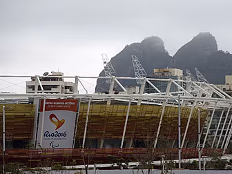 Brazil authorities urge pregna...