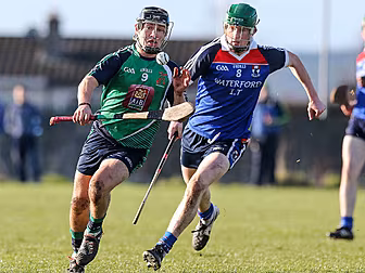 GALLERY: Davy Fitz’s Limerick...