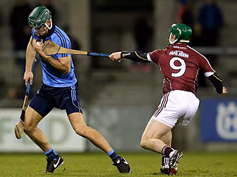 GALLERY: Dublin produce fine d...