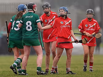 Camogie League Round Up: Limer...